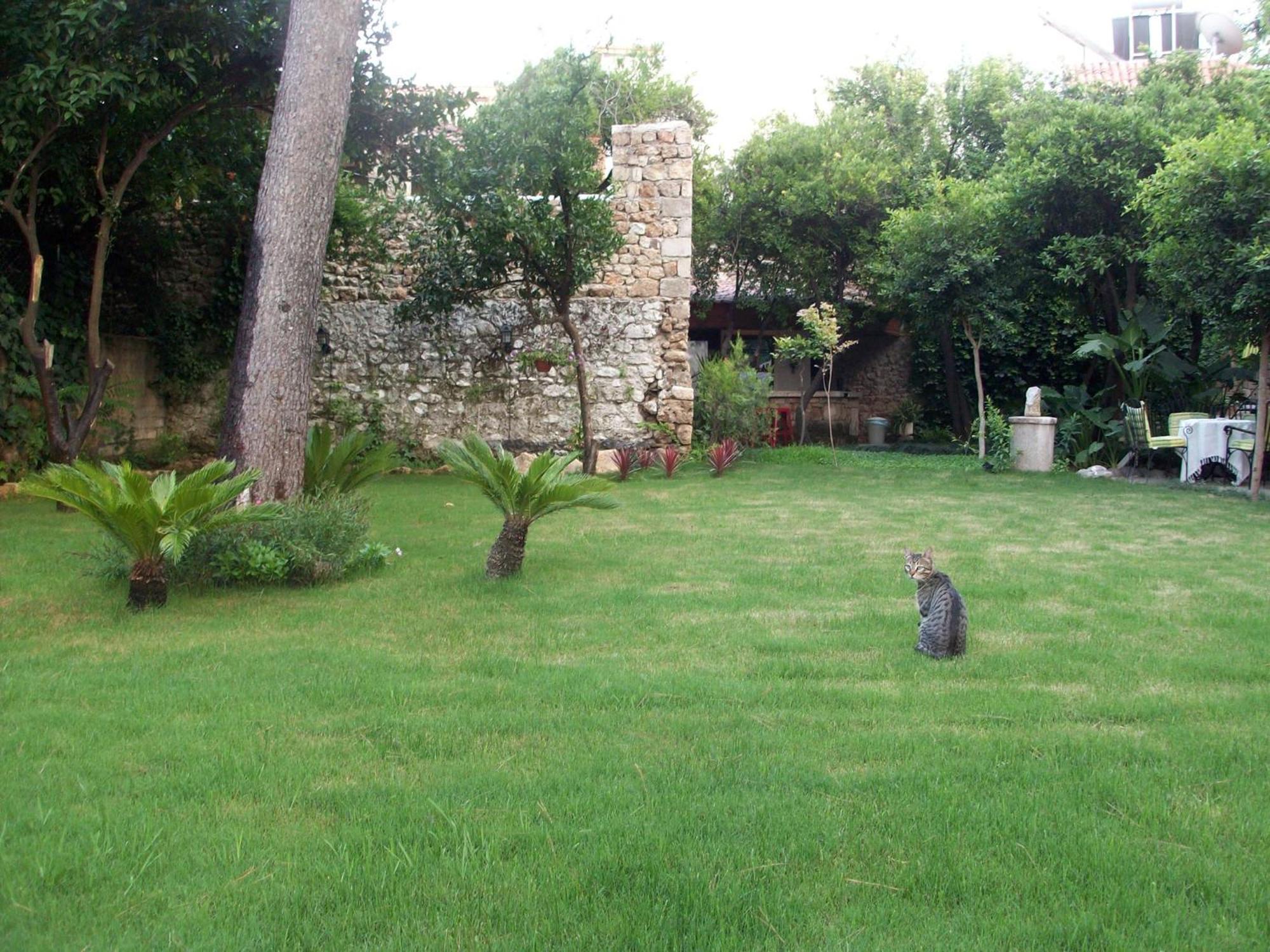 The Ninova Hotel Antalya Luaran gambar